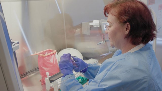 Frustrated Labs Explain Untapped Testing Capacity